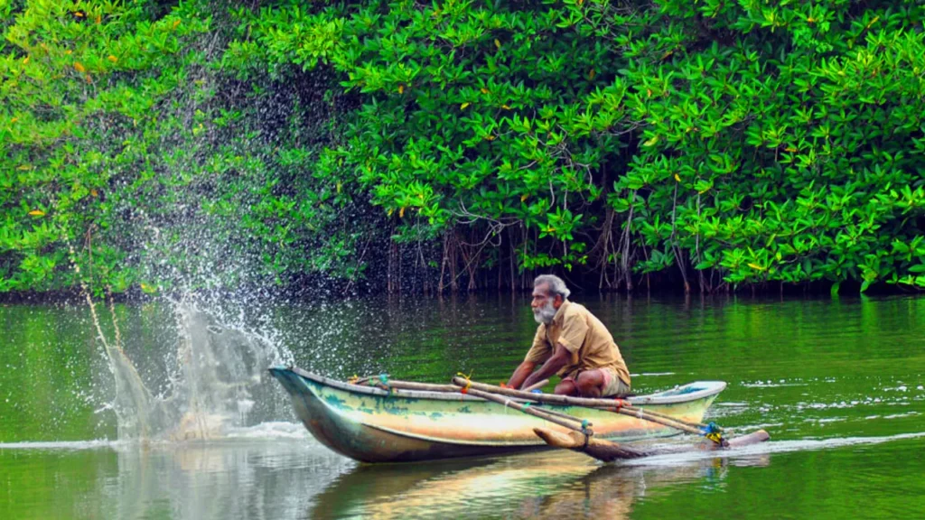 Colombo to Balapitiya